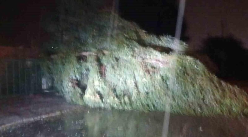Aydın’da kuvvetli rüzgar hayatı olumsuz etkiledi 1