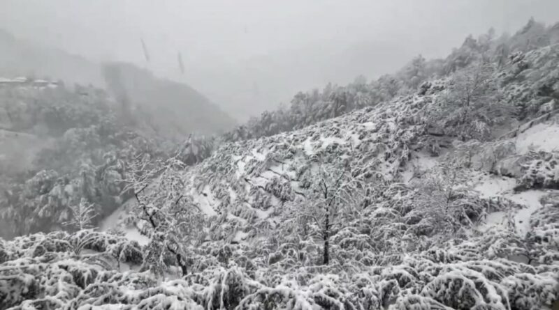 Batı Karadeniz'de kuvvetli yağış uyarısı 1