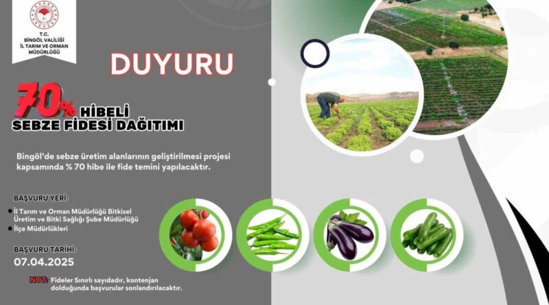 Bingöl’de çiftçilere yüzde 70 hibe destekli sebze fidesi dağıtılacak 1