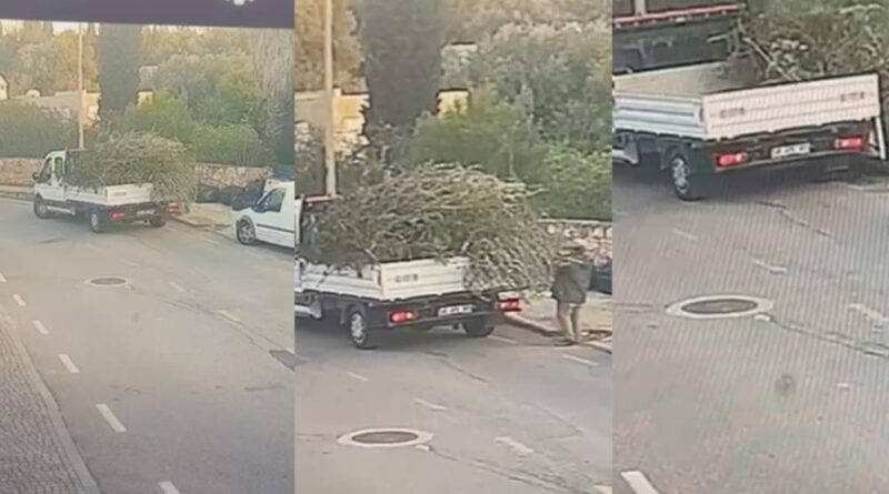 Bodrum Belediyesi'nden çevreyi kirletenlere cezai işlem 1