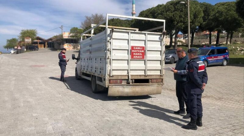 Canlı hayvan taşıyan araçlar denetlendi 1