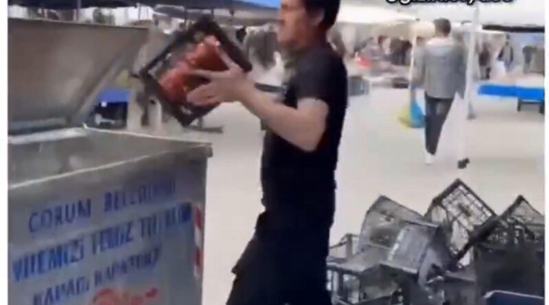 Çorum’da tepki için çöpe dökülen domates satıcısına ceza 1
