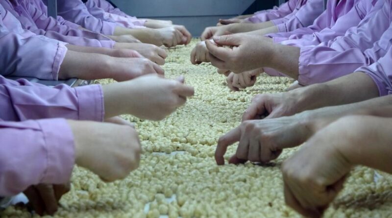 Düzce’de AB ülkelerine 8 bin 374 ton gönderildi 1