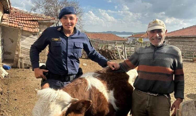 Jandarma kayıp büyükbaş hayvanı bularak sahibine teslim etti 1