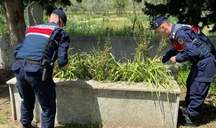 Karpuzlu jandarması şehit Özçelik'i unutmadı 1