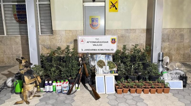 Kenevir yetiştiren şahıslar esrar ve uyuşturucu haplarla yakalandı 1