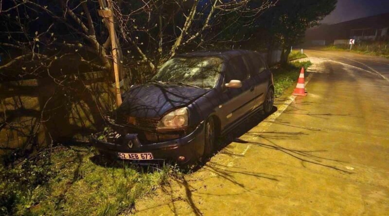 Otomobil elektrik direğine çarptı: 3 yaralı 1