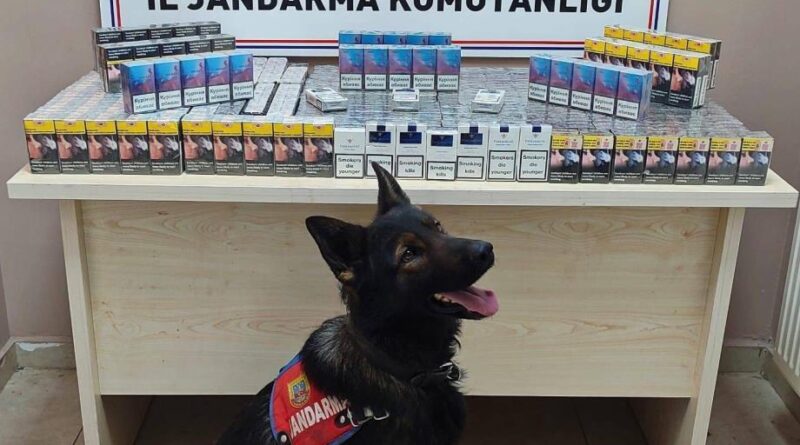Sigara kaçakçıları jandarmadan kaçamadı 1