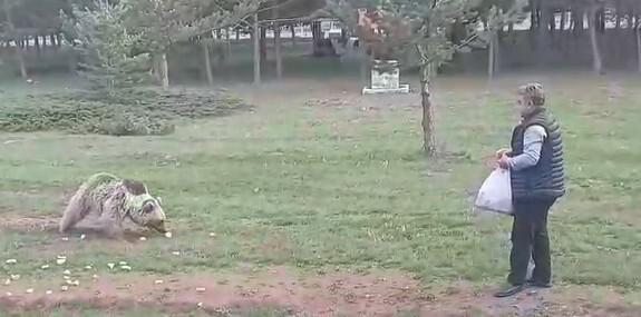 Çemşit ismini verdiği bozayıyı besledi, eşi kayıt altına aldı 1