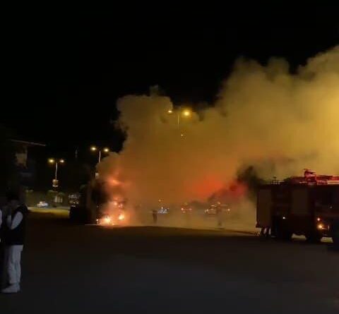 Ereğli'de seyir halindeki tır alev aldı 1
