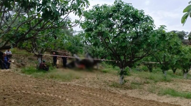 Germencik'te devrilen traktörün altında kalan şahıs hayatını kaybetti 1