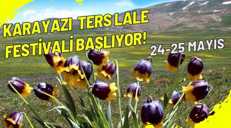 Karayazı ters lale festivali başlıyor; 1
