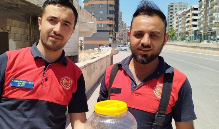 Mutfakta görülen yılan, paniğe neden oldu 1