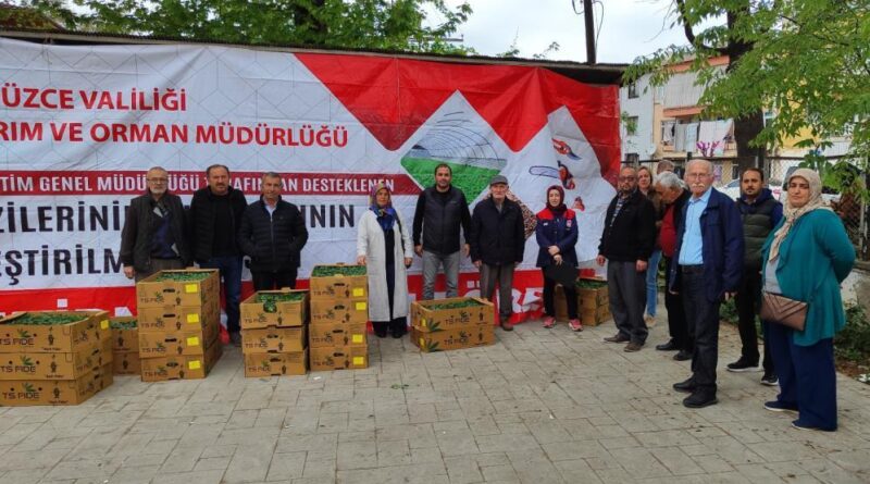 Yüzde 75’i bakanlık destekli fideler çiftçilere dağıtıldı 1