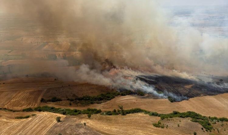 Balıkesir Kepsut'ta arazi yangını 1