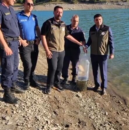 Bayat’daki gölet ve sulak alanlara 10 bin sazan balığı yavrusu bırakıldı 1