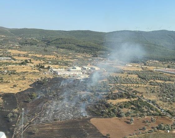Bodrum'da çıkan zirai alan yangını büyümeden söndürüldü 1