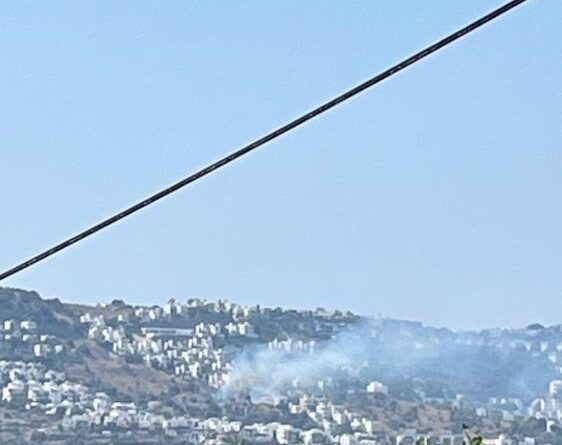 Bodrum'daki yangın büyümeden söndürüldü 1