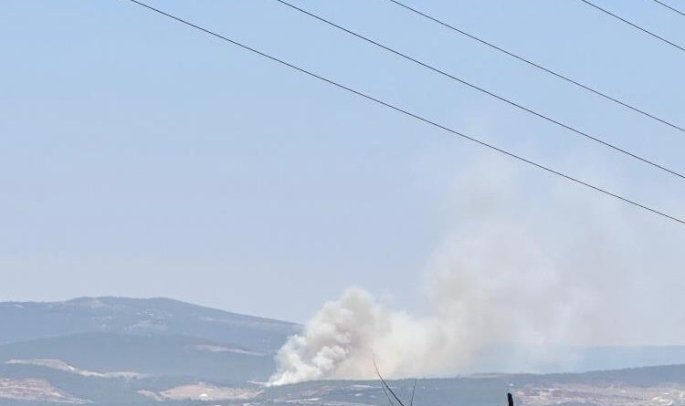 Bursa'da Kayapa bölgesinde orman yangını 1