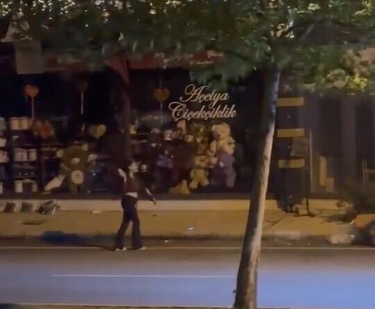Elazığ’da kadın, bir iş yerine taşla saldırdı 1