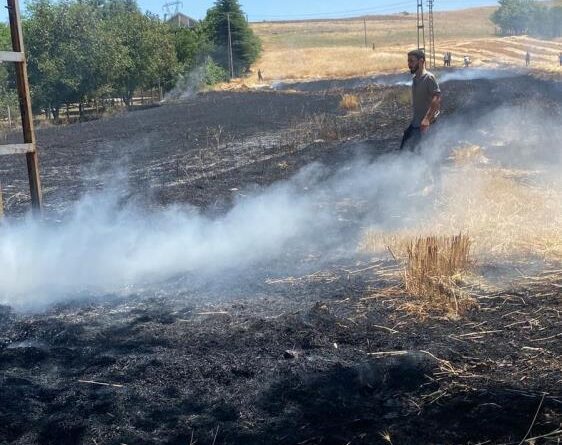 Elazığ’da yangın: Ekili alan küle döndü 1