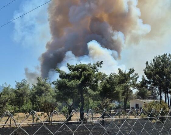 İzmir Bornova'da orman yangını 1