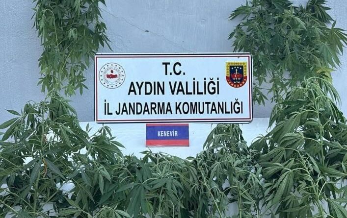 Jandarmada uyuşturucu operasyonu: 16 gözaltı 1
