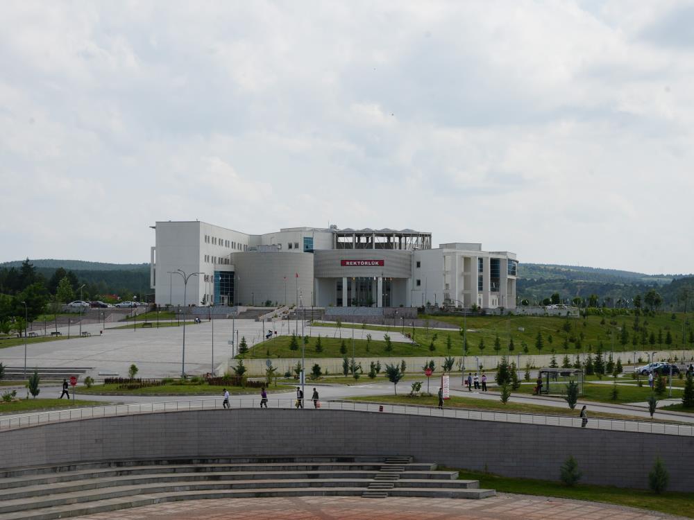 Kastamonu Üniversitesi, Times Higher Education etki sıralamasında yer aldı