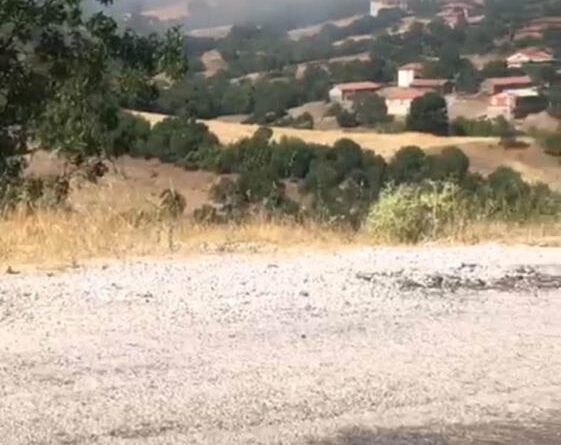 Kepsut'ta orman yangını başladı 1