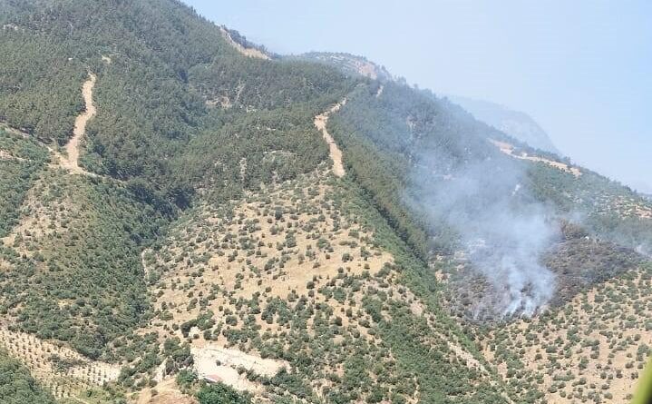 Manisa'da orman yangınına havadan ve karadan müdahale 1