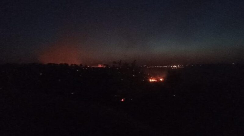 Mardin'deki orman yangını kontrol altına alındı 1