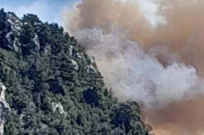 Mersin Bozyazı'da orman yangınına ekipler müdahale ediyor 1