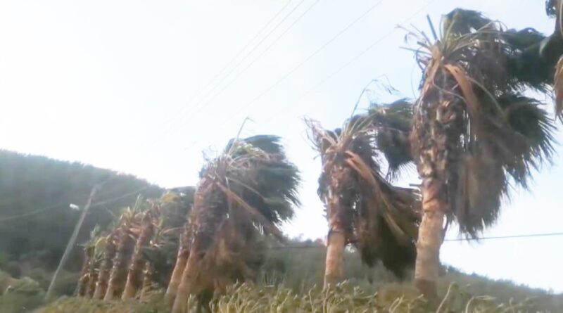 Muğla’nın 9 ilçesi için fırtına uyarısı 1