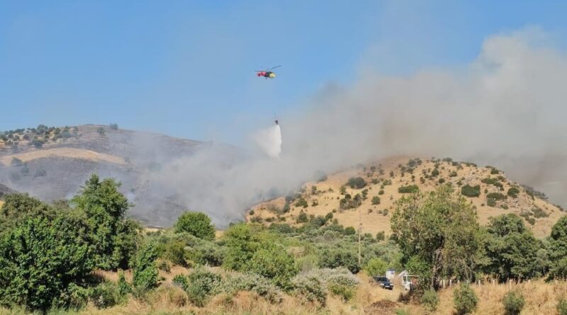 Nazilli'deki zirai alan yangını kontrol altına alındı 1