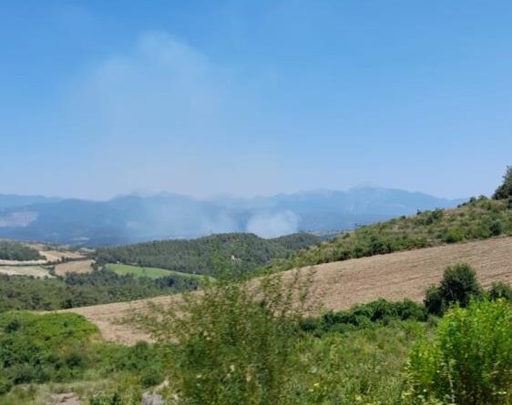 Osmaniye'de orman yangını başladı 1