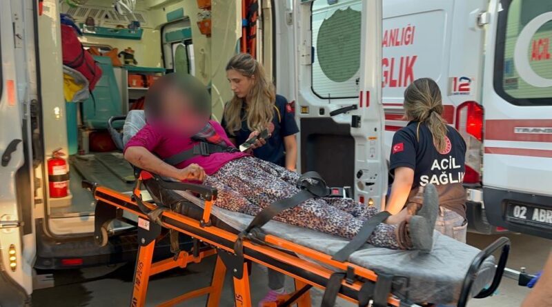 Taşlı saldırıya uğrayan kadın yaralandı 1