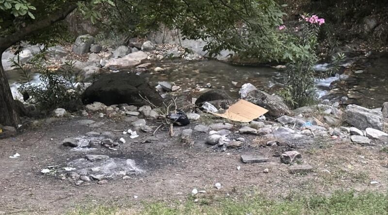 Yasağı delip ormanda mangal yaktılar, jandarmadan kaçamadılar 1
