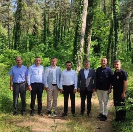 Yenice’de Gençlik Kampı için saha çalışmaları başladı 1