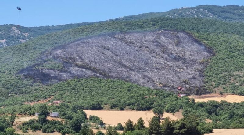 Yenişehir ilçesindeki yangın söndürüldü 1