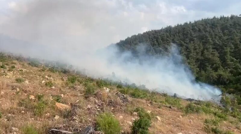 Aynı bölgede 15 günde 2'nci orman yangını 1