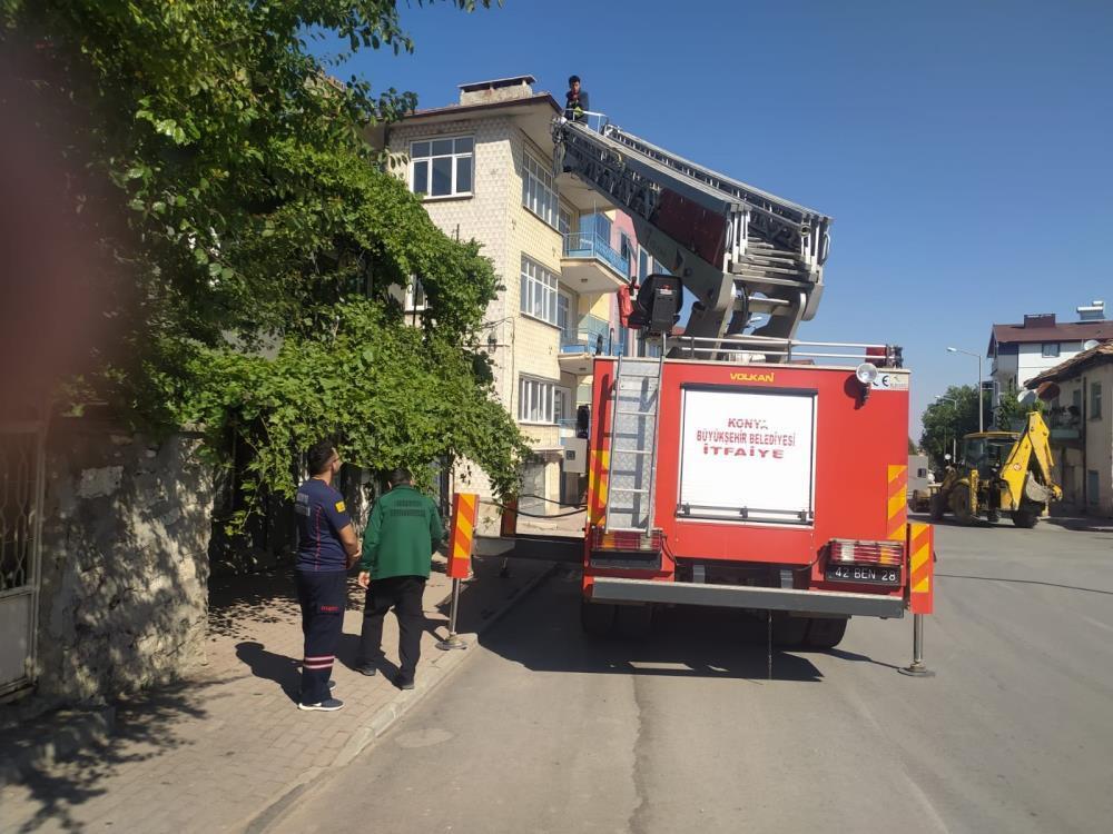 Beyşehir’de itfaiyenin kedi kurtarma seferberliği