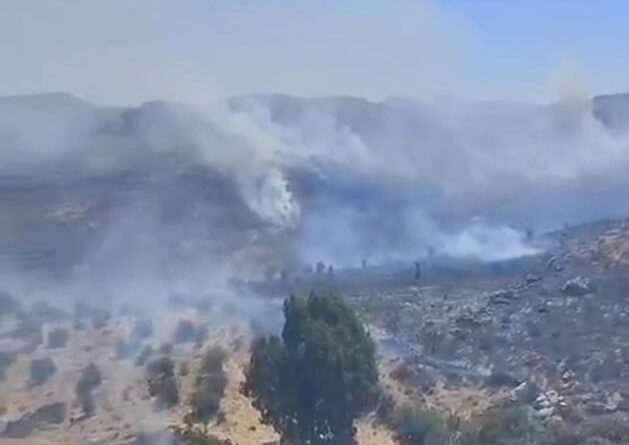 Bodrum’da otluk alanda çıkan yangın kısa sürede kontrol altına alındı 1