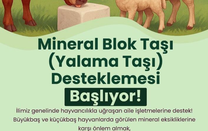Büyükşehir’den hayvanlara yalama taşı desteği 1