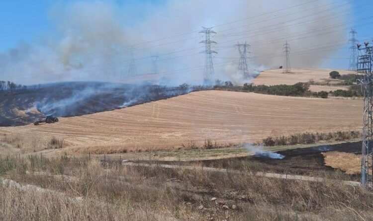 Çanakkale'de tarım arazisinde çıkan yangın kontrol altına alındı 1