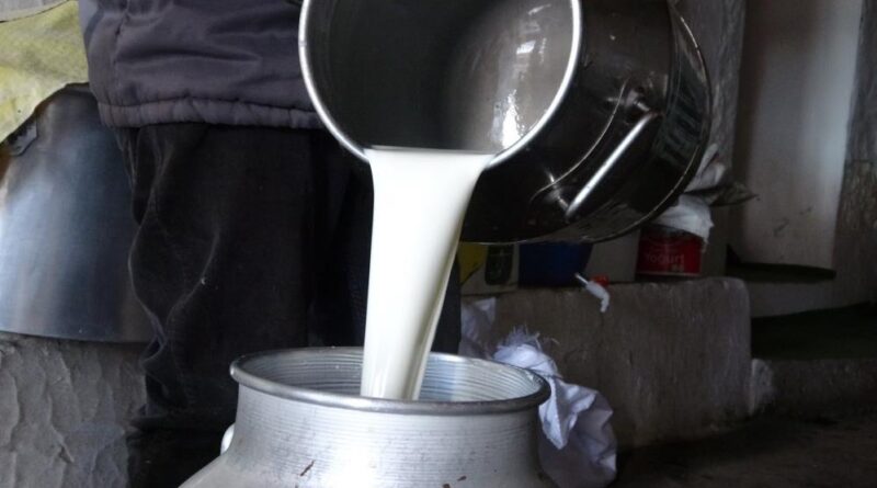 Çiğ süt fiyatları belli oldu 1