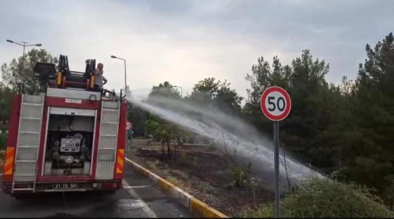 Dicle Üniversitesi'ndeki örtü yangını söndürüldü 1