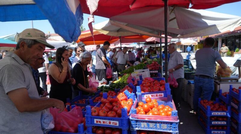 Erzincan domatesi çevre illerde sofraları süslüyor 1