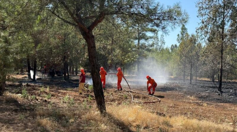 Fethiye'deki yangının etrafı çevrildi 1