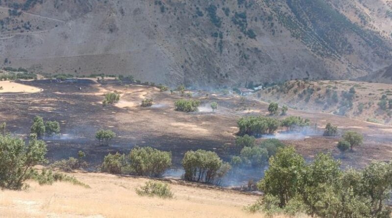 Hakkari’de anız yangını 1