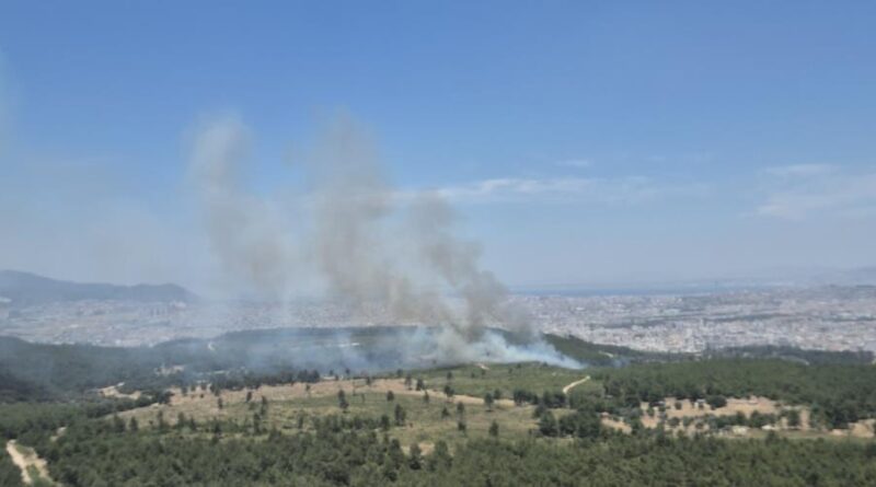 İzmir'de yeni orman yangını: Buca'ya havadan ve karadan müdahale 1